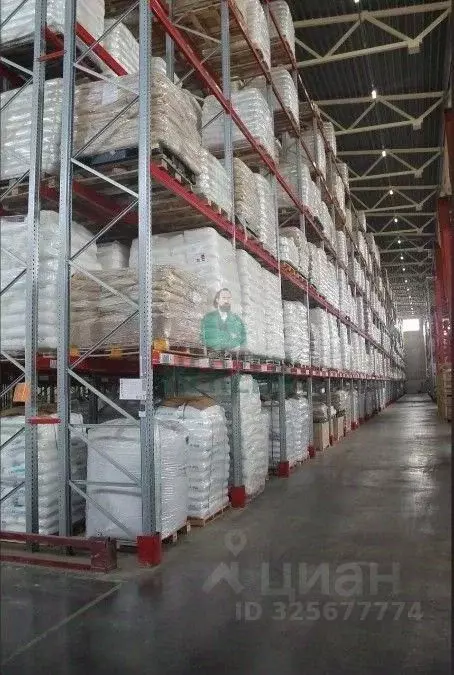 Производственное помещение в Московская область, Чехов муниципальный ... - Фото 2