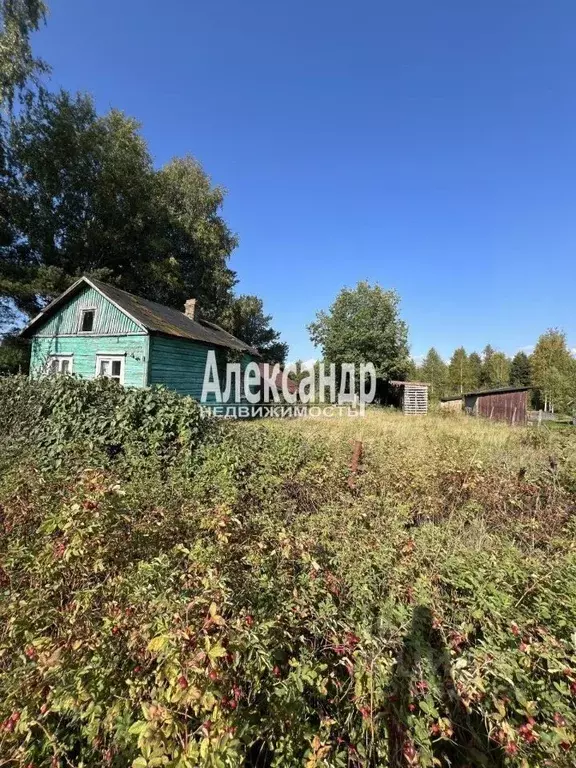 дом в ленинградская область, выборгский район, советское городское . - Фото 1