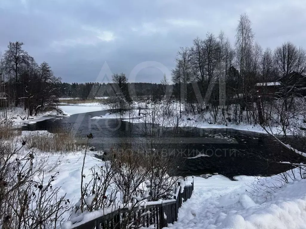 Участок в Ленинградская область, Приозерский район, Мельниковское ... - Фото 1