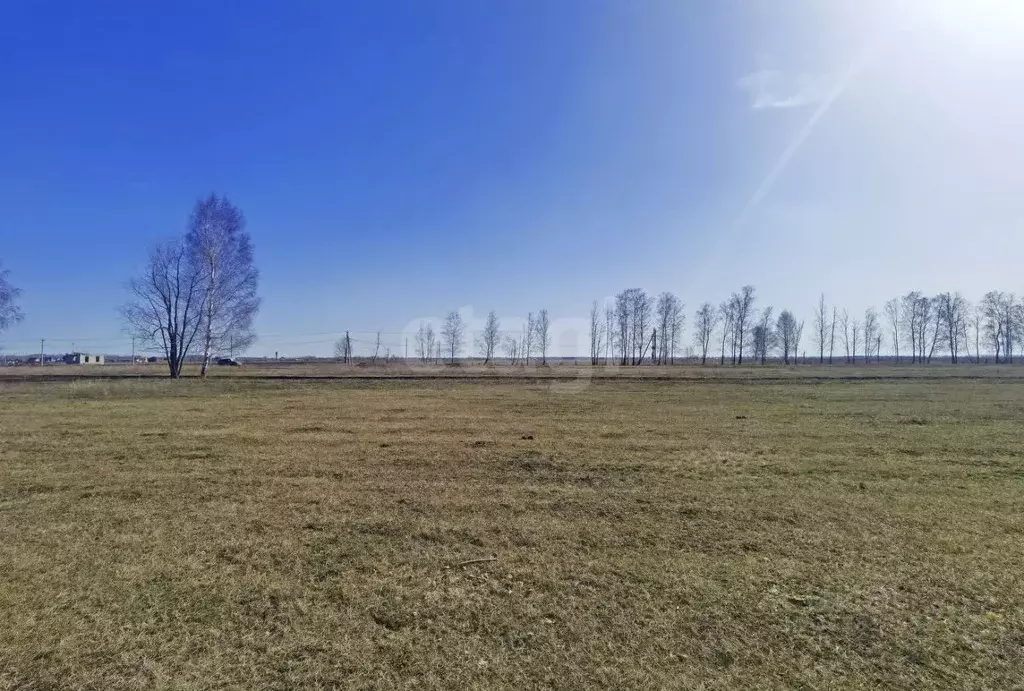 Участок в Омская область, Омский район, с. Усть-Заостровка ул. 2-я ... - Фото 1