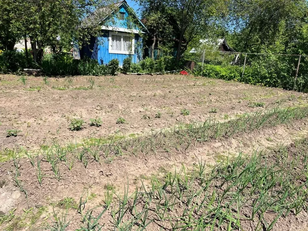 Участок в Нижегородская область, Заволжье г. Городецкий муниципальный ... - Фото 1