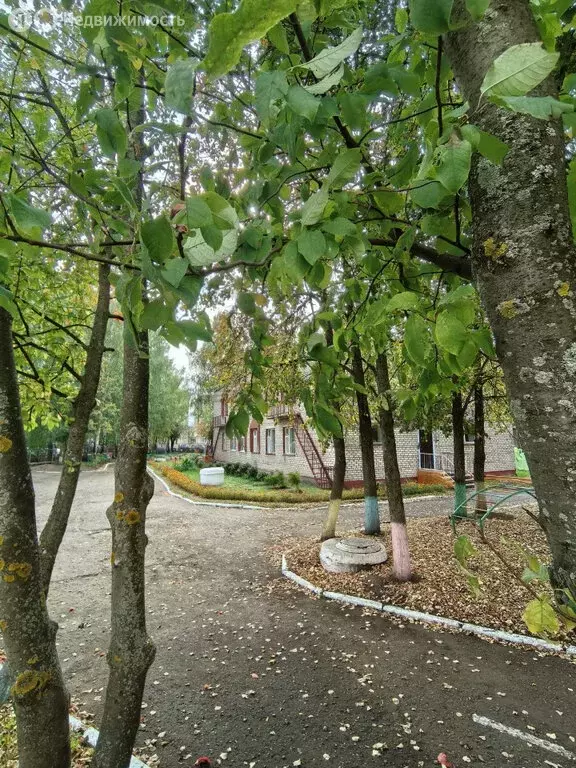 2-комнатная квартира: Нефтекамск, улица Строителей, 79 (43 м) - Фото 2