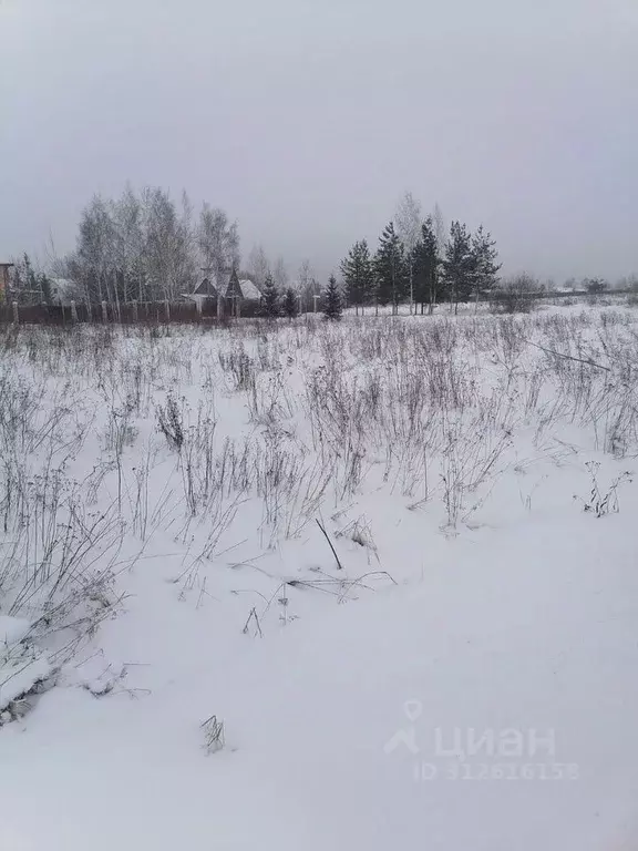 Участок в Ленинградская область, Ломоносовский район, Аннинское ... - Фото 1