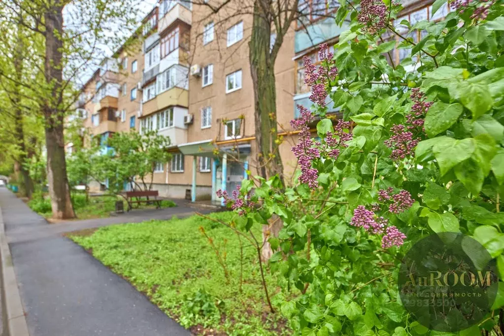 1-к кв. Волгоградская область, Волжский ул. Мира, 18 (29.8 м) - Фото 1