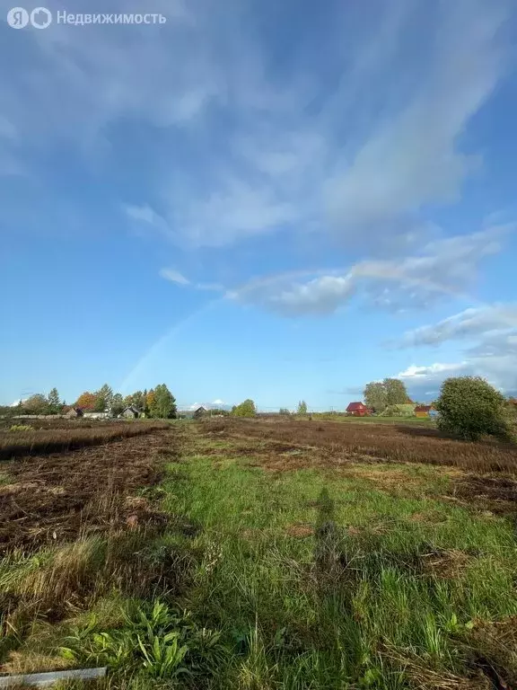 Участок в Рабитицкое сельское поселение, деревня Лиможа (20 м) - Фото 2
