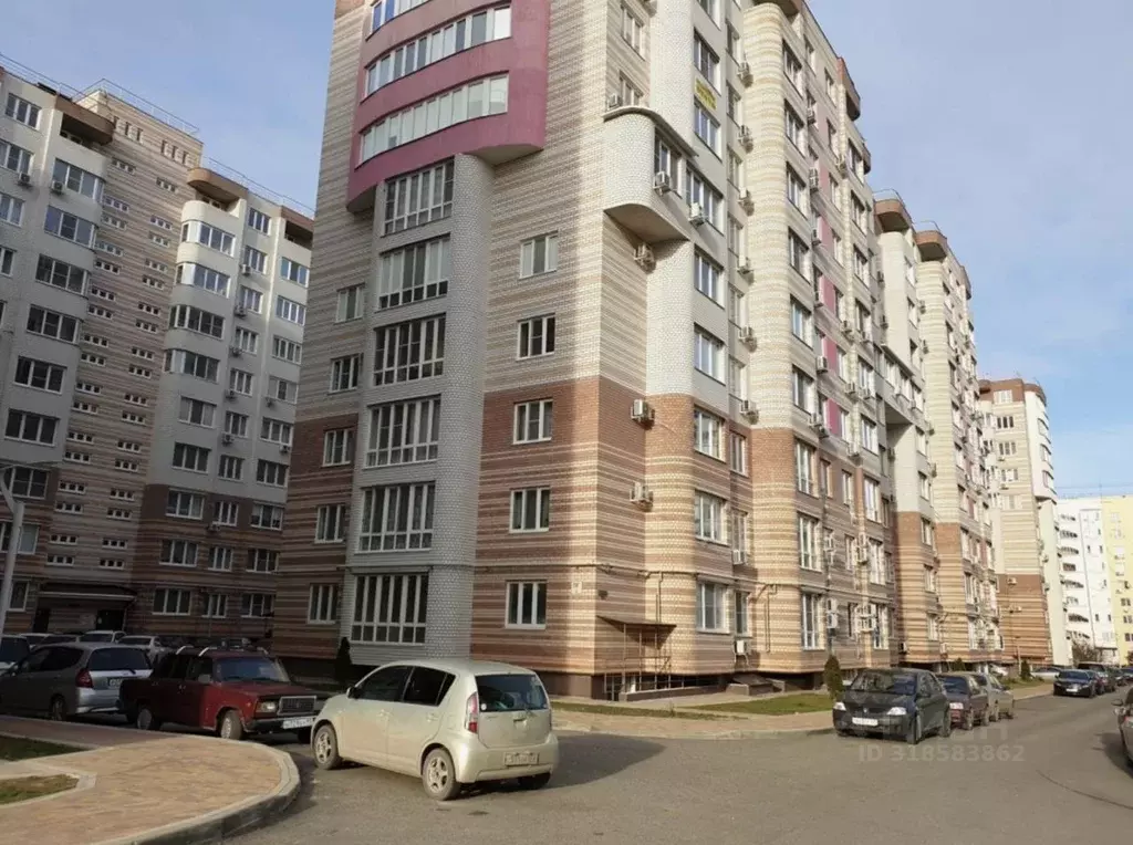 Помещение свободного назначения в Краснодарский край, Анапа ул. ... - Фото 0