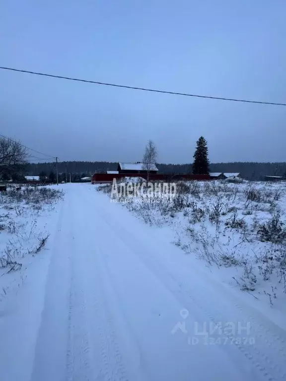 Участок в Ленинградская область, Выборгский район, Каменногорское ... - Фото 0