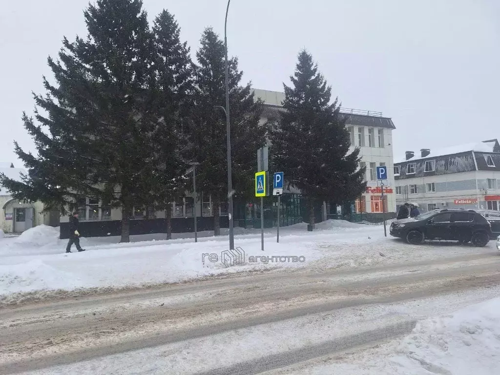 Помещение свободного назначения в Татарстан, Нурлат ул. Карла Маркса, ... - Фото 1