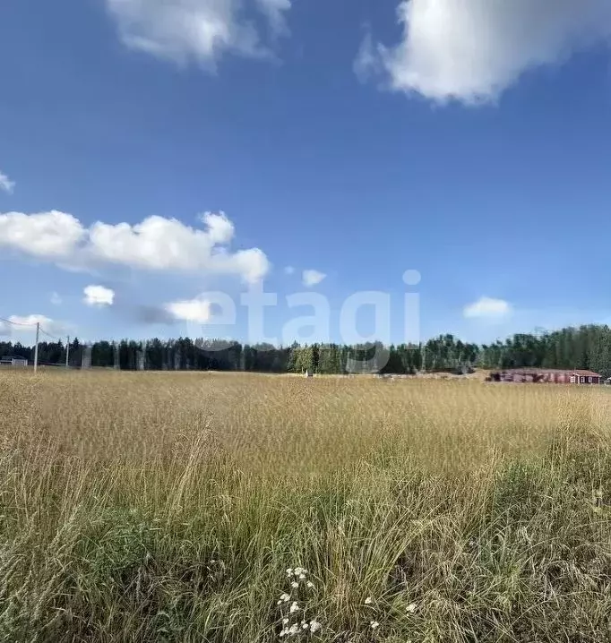 Участок в Вологодская область, Шограш садоводческое товарищество ул. ... - Фото 1