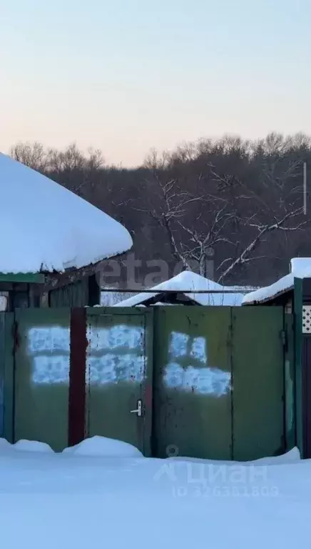 Участок в Саратовская область, Балашовский район, Хоперское ... - Фото 2