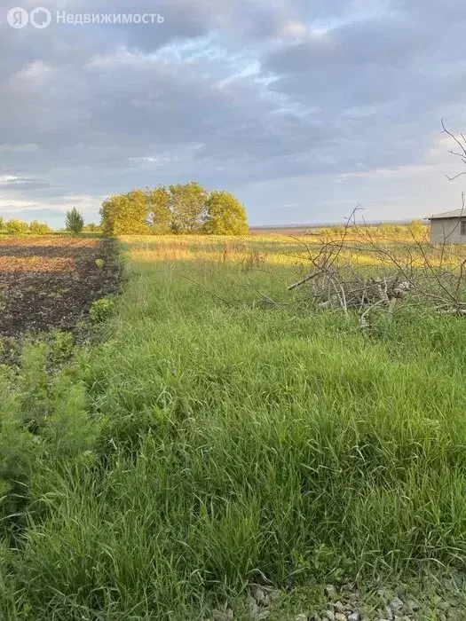 Участок в посёлок городского типа Яшкино, улица Лесоводов (20 м) - Фото 0