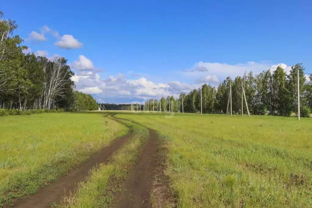 Участок в Омская область, Омский район, Дружинское с/пос, с. Красная ... - Фото 0