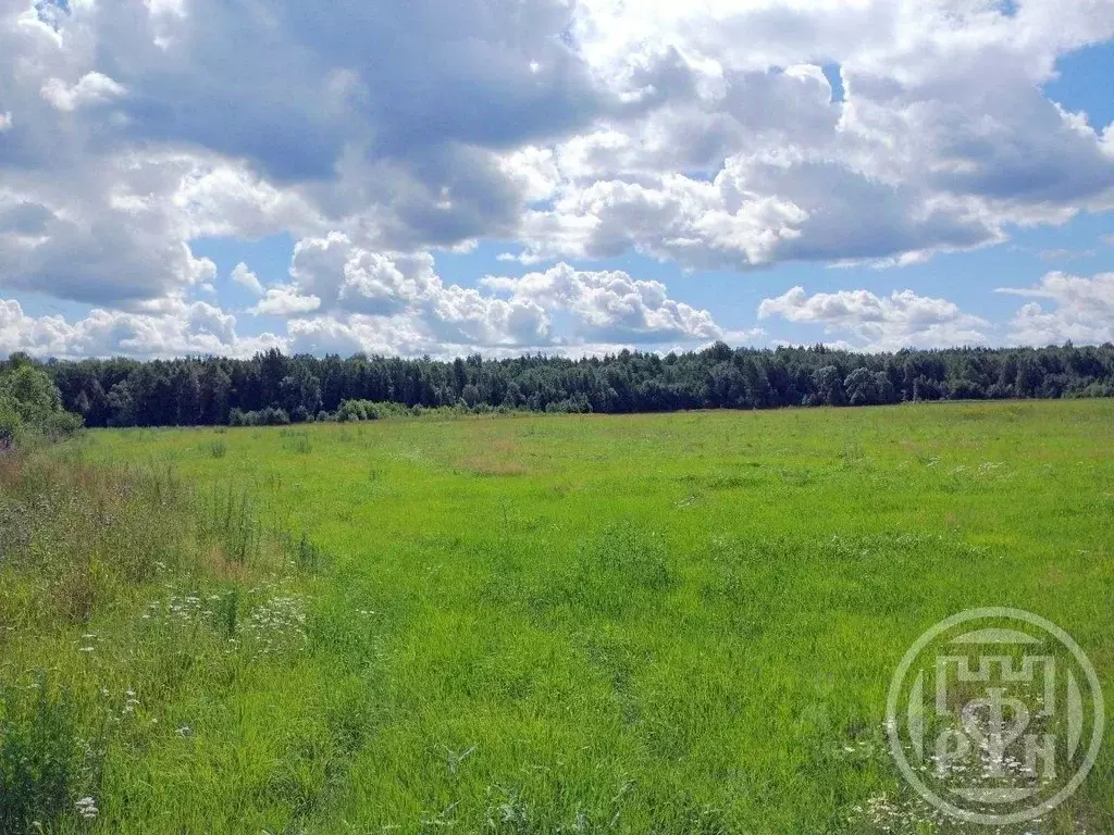 Участок в Ленинградская область, Выборгский район, Красносельское ... - Фото 1