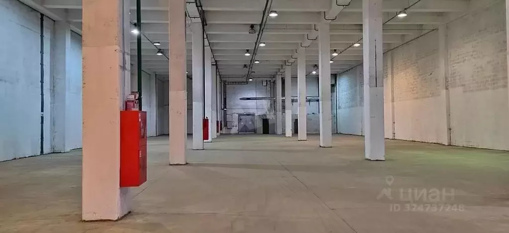 Склад в Воронежская область, Воронеж ул. Богачева, 3/3 (1350 м) - Фото 1