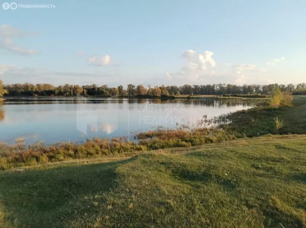 участок в ярковский район, деревня мотуши (15 м) - Фото 0