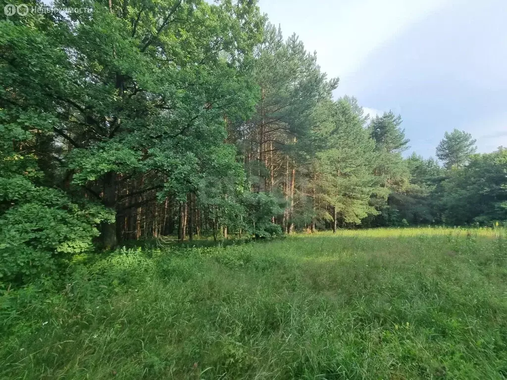Участок в Московская область, городской округ Коломна, село Комарёво ... - Фото 2