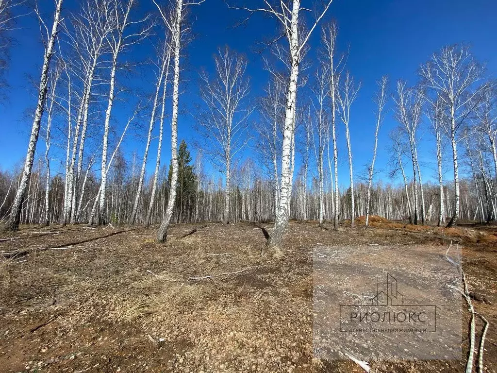 Участок в Челябинская область, Сосновский район, Кременкульское с/пос, ... - Фото 2