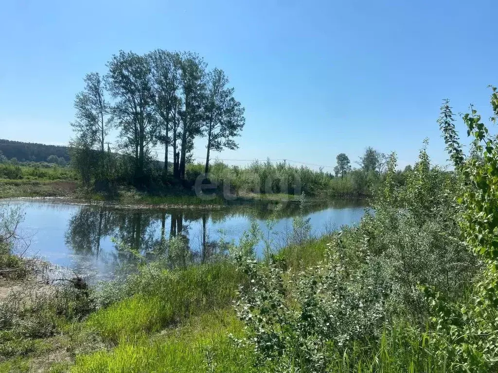 Участок в Новосибирская область, Новосибирский район, Кубовинский ... - Фото 1