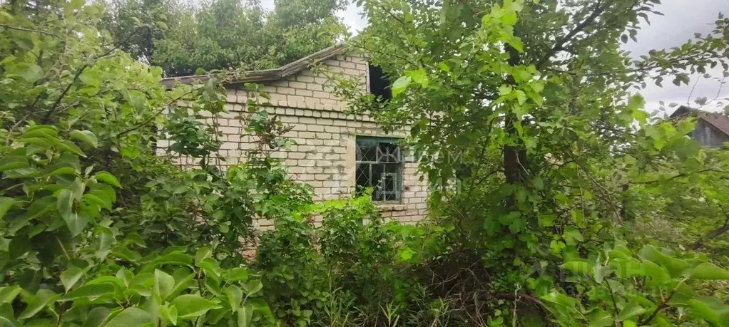 Дом в Волгоградская область, Волгоград Горчичник СНТ, ул. Абрикосовая ... - Фото 1
