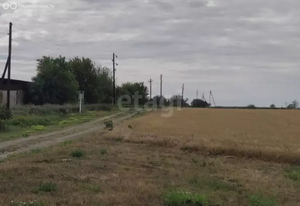 Участок в Ростовская область, слобода Родионово-Несветайская (874.55 ... - Фото 1