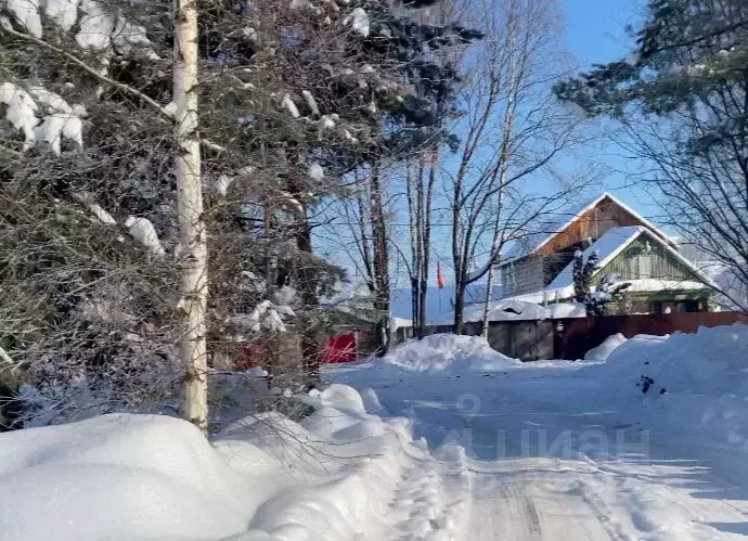 Участок в Московская область, Пушкинский городской округ, с. ... - Фото 1