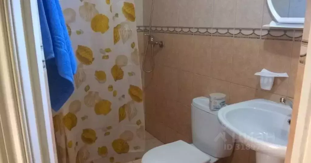 Комната Краснодарский край, Сочи ул. Декабристов, 149А - Фото 1