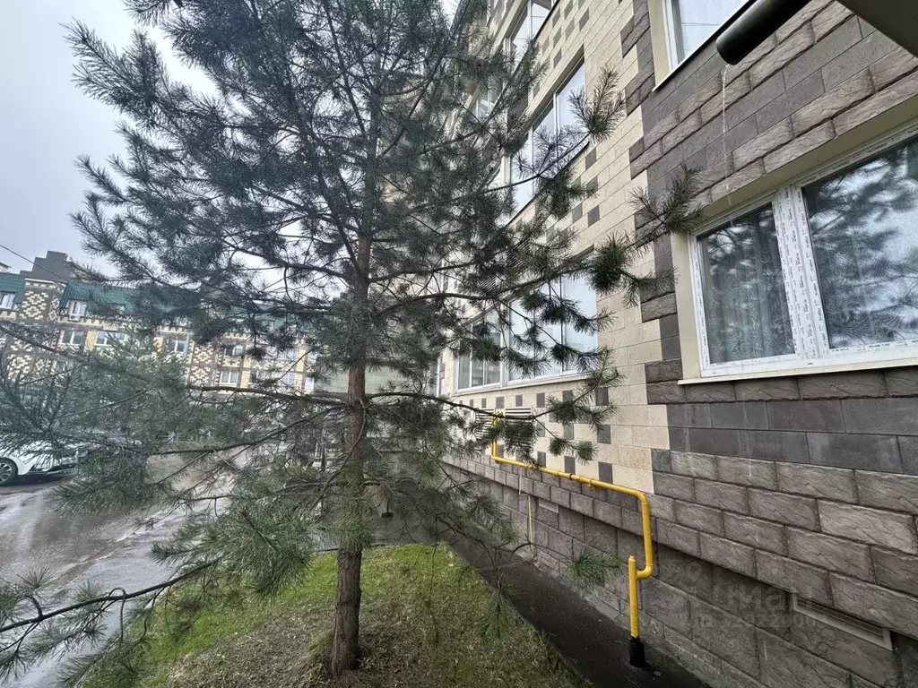 1-к кв. Московская область, Одинцовский городской округ, д. Солманово, ... - Фото 1