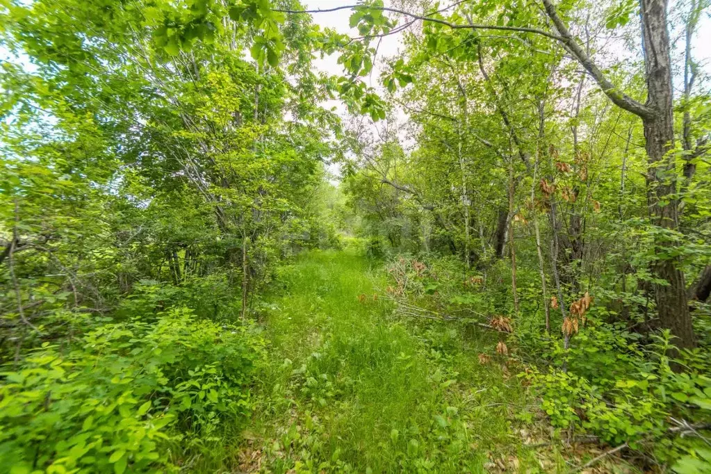 Дом в Еврейская автономная область, Смидовичский муниципальный район, ... - Фото 2