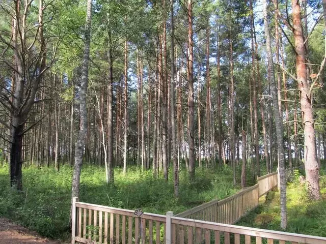 Участок 40 сот. (СНТ, ДНП) - Фото 0