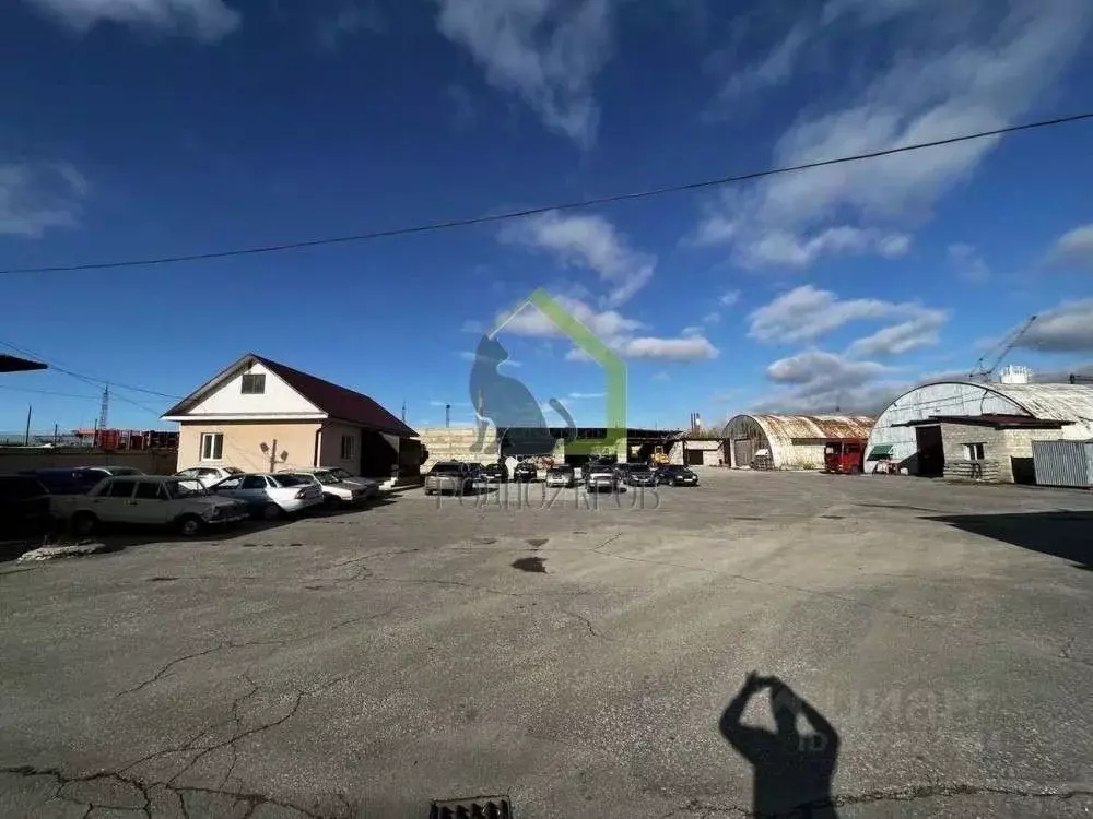 Офис в Самарская область, Сызрань городской округ, пос. Елизарово ул. ... - Фото 2