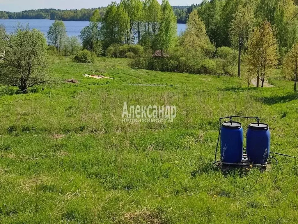 Участок в Ленинградская область, Приозерский район, Севастьяновское ... - Фото 1