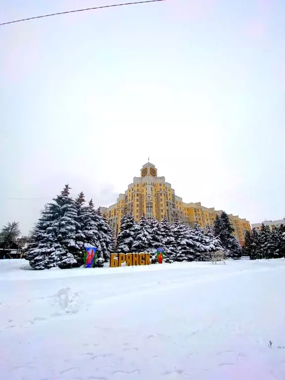 1-к кв. Брянская область, Брянск пл. Партизан, 1 (51.0 м) - Фото 1