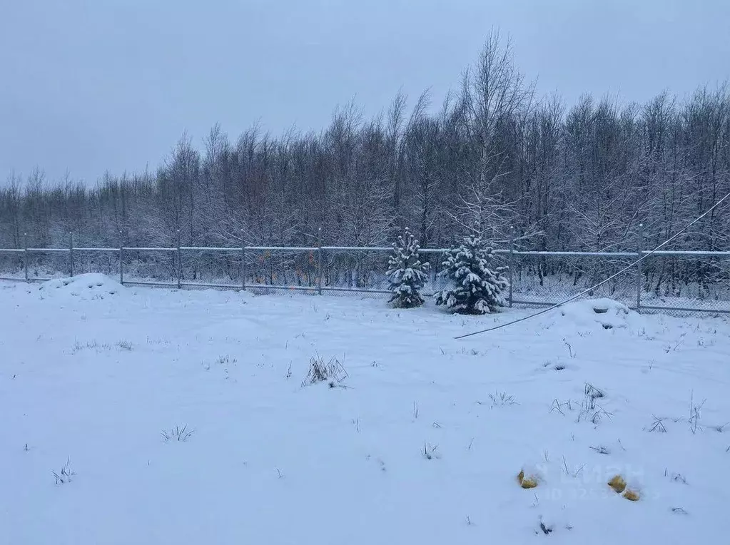 Дом в Нижегородская область, Богородский муниципальный округ, д. ... - Фото 2