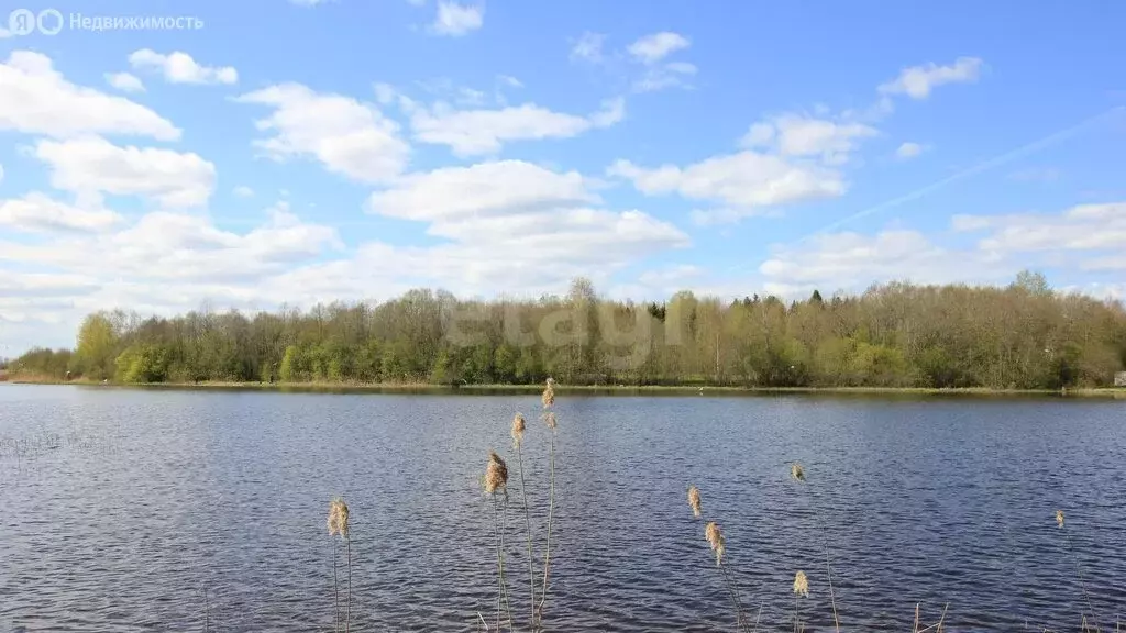 Участок в Вологодская область, Шекснинский муниципальный округ, ... - Фото 1