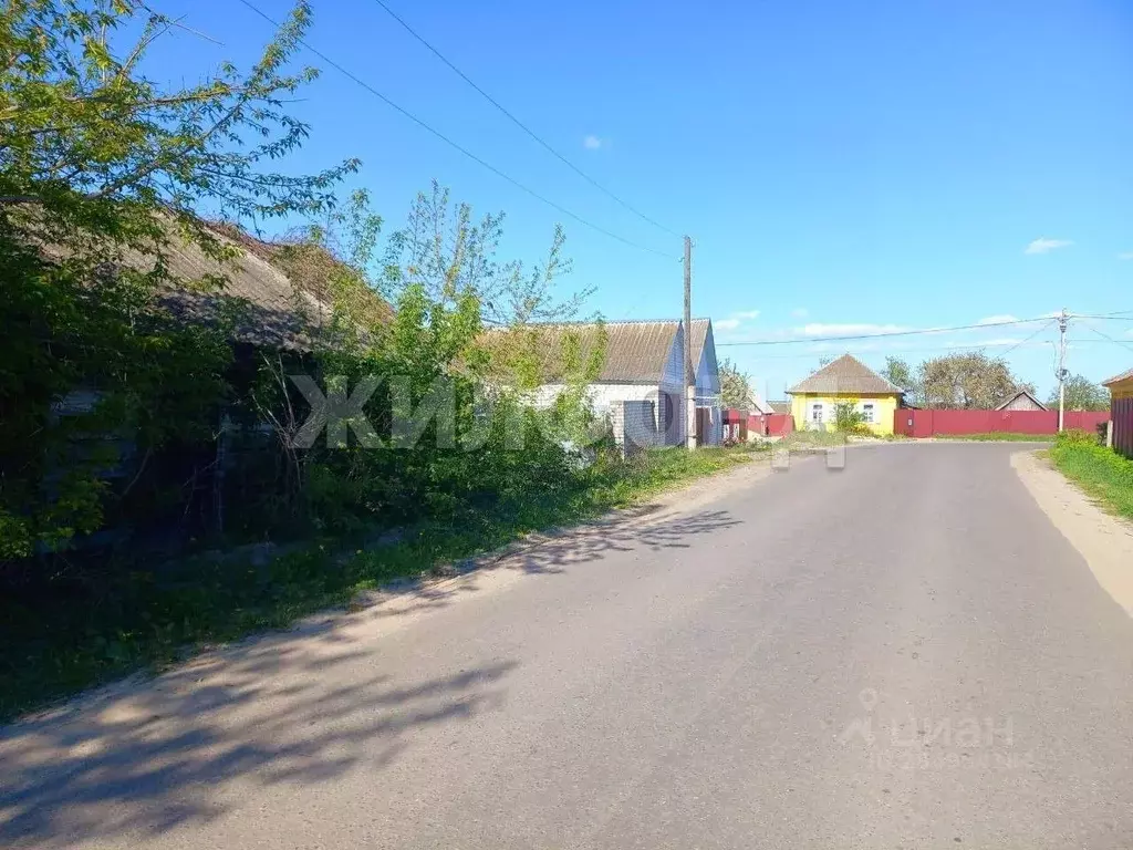 Участок в Брянская область, Погар рп ул. Жданова (14.0 сот.) - Фото 1
