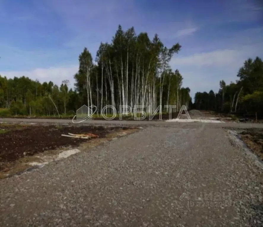 Участок в Тюменская область, Нижнетавдинский муниципальный округ, ... - Фото 2
