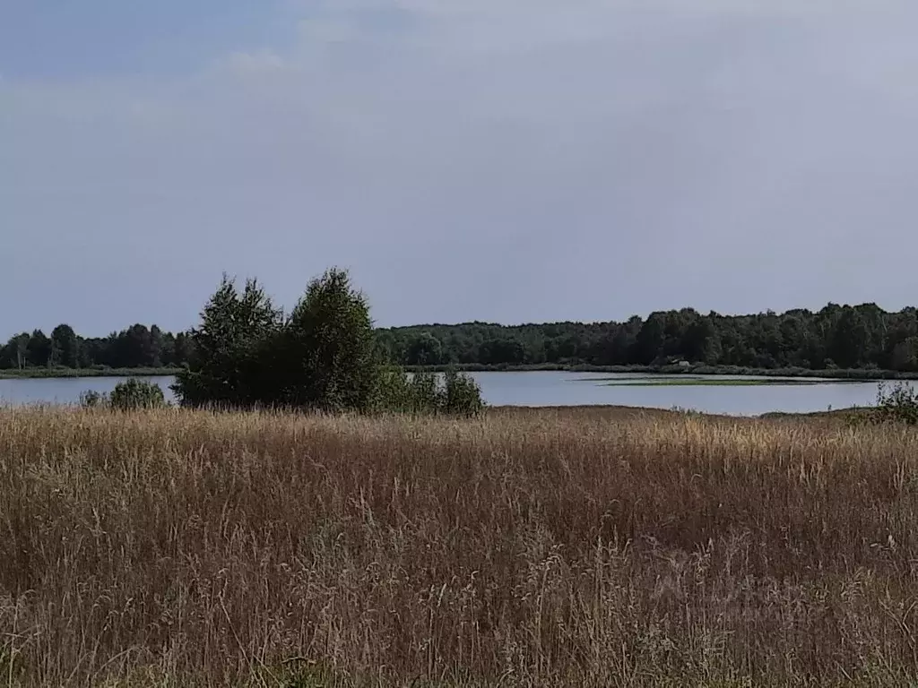 Участок в Владимирская область, Собинский район, д. Монаково  (6.0 ... - Фото 0