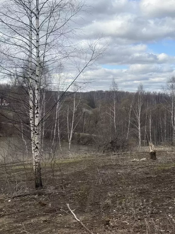 Участок в Тульская область, Тула городской округ, д. Беломутово  (6.24 ... - Фото 1