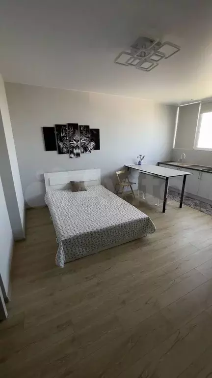 Квартира-студия, 30 м, 17/25 эт. - Фото 1