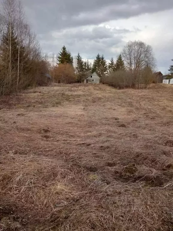 Участок в Псковская область, Псковский район, Тямшанская волость, д. ... - Фото 1