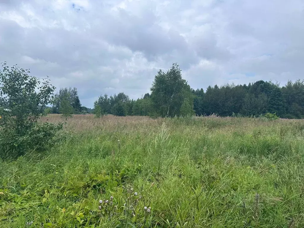 Участок в Московская область, Богородский городской округ, д. Кашино ... - Фото 0