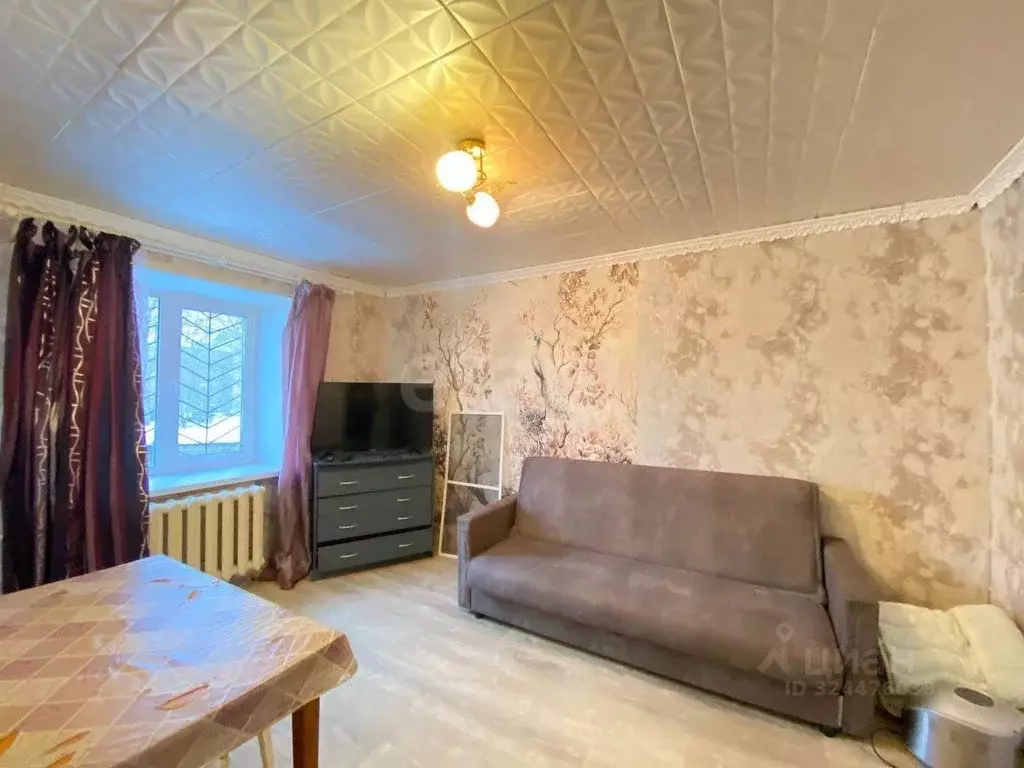 2-к кв. Пермский край, Березники Юбилейная ул., 69А (24.5 м) - Фото 1