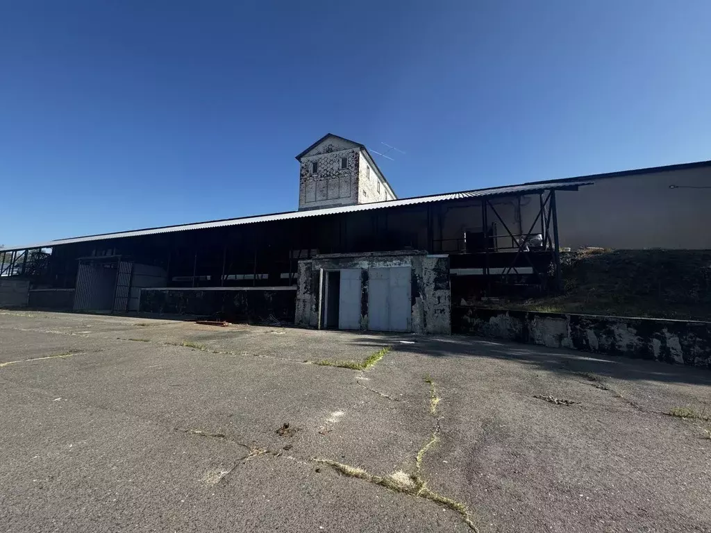 Помещение свободного назначения в Московская область, Воскресенск ул. ... - Фото 1