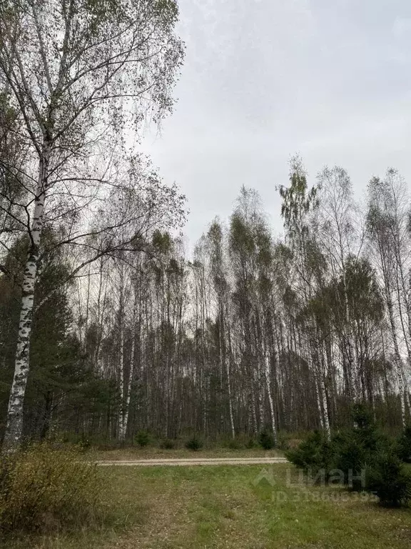 Участок в Тверская область, Конаковский муниципальный округ, д. ... - Фото 0