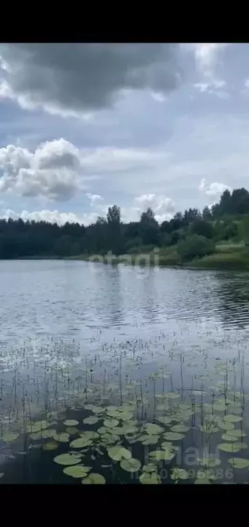 Участок в Псковская область, Новоржевский муниципальный округ, д. ... - Фото 1