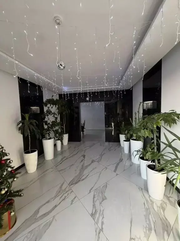 3-к кв. Краснодарский край, Сочи Больничный Городок мкр, ул. ... - Фото 1