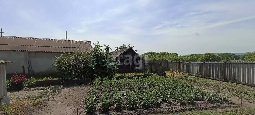 Дом в Белгородская область, Новооскольский муниципальный округ, с. ... - Фото 1