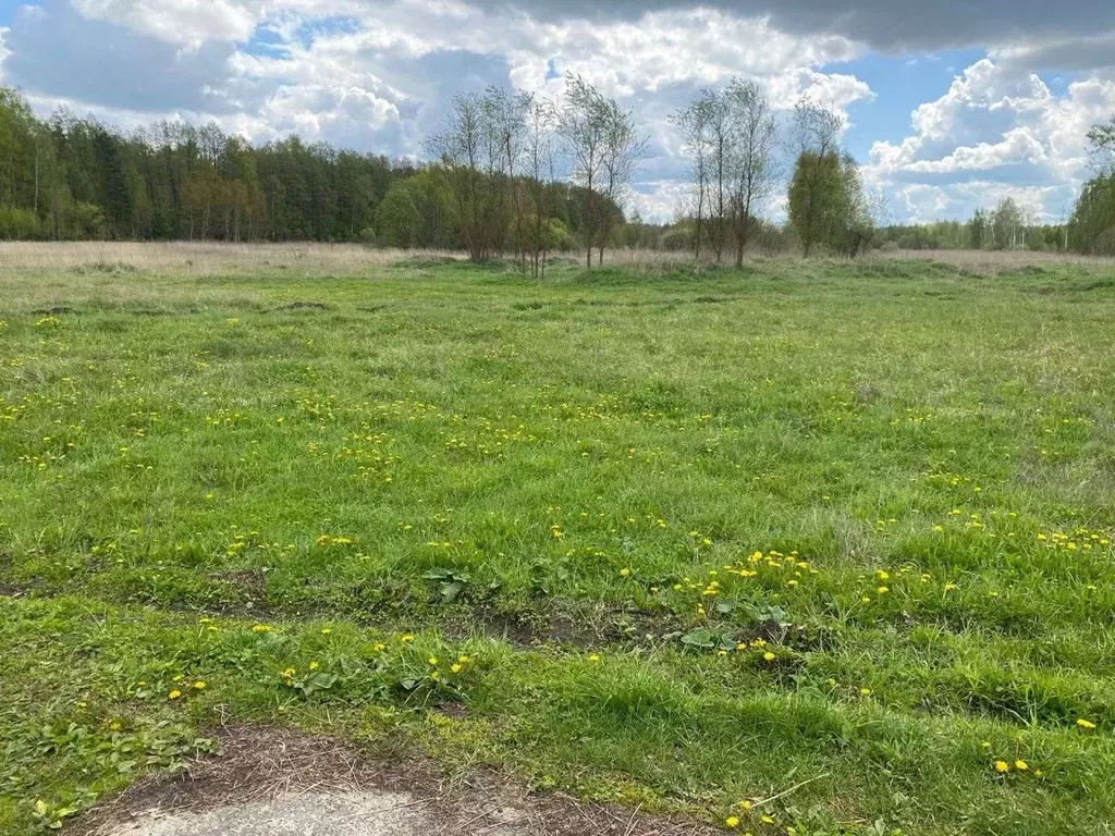 Участок в Московская область, Орехово-Зуевский городской округ, д. ... - Фото 0