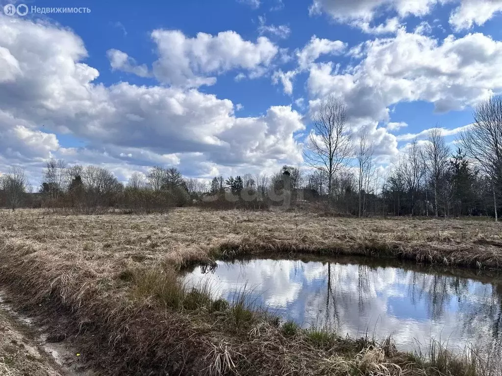 Участок в Киришский район, Кусинское сельское поселение, село ... - Фото 2