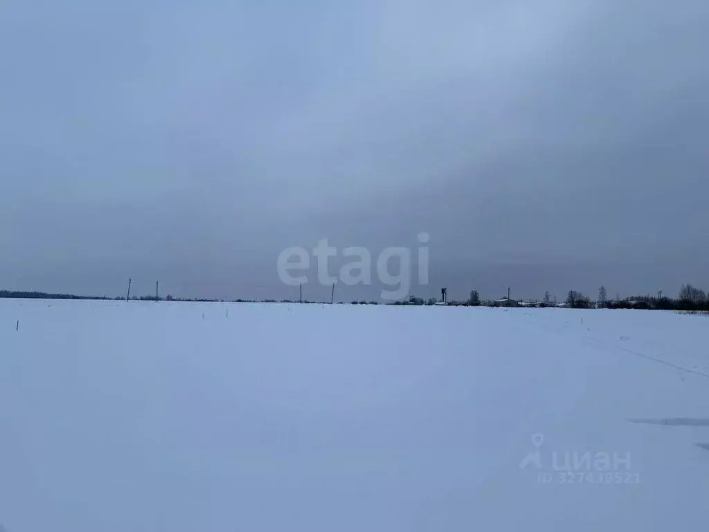 Участок в Костромская область, Костромской район, Сандогорское с/пос, ... - Фото 1
